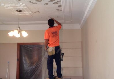 Steven Trevisan Plas...