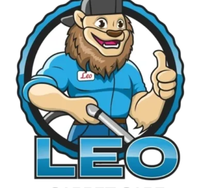 Leo Floor Care &...