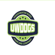 UW DOGS