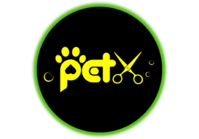 Dog Nail Trim in Sca...