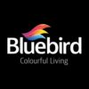 Bluebird Arts UAE